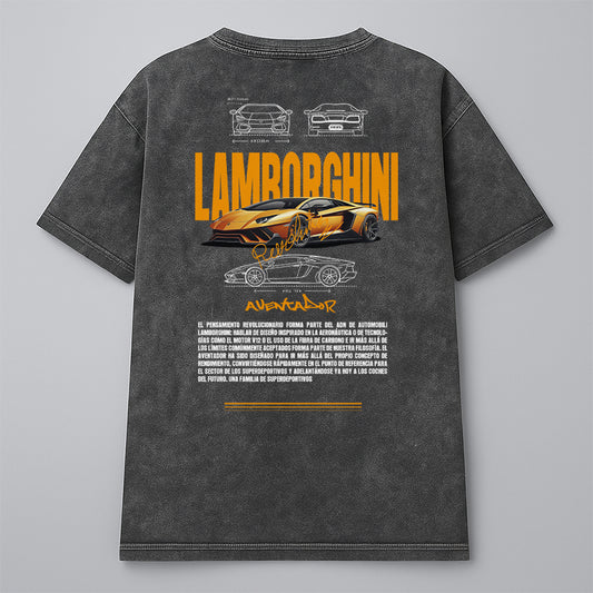 LAMBORGHINI AVENTADOR - ACID WASH